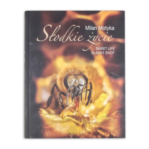 SŁODKIE ŻYCIE M. MOTYKA