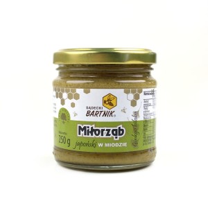 MIÓD Z MIŁORZĘBEM JAPOŃSKIM - 250G BARTNIK