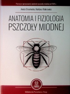 "ANATOMIA I FIZJOLOGIA PSZCZOŁY MIODNEJ" ANETA STRACHECKA, MARTYNA WALEROWICZ