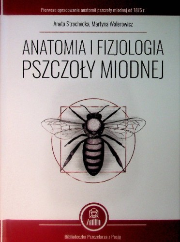 Książka "Anatomia i fizjologia pszczoły miodnej" Aneta Strachecka, Martyna Walerowicz. Okładka jest twarda w kolorze białym z brązowymi brzegami. Na środku jest rycina pszczoły w kole i kwadracie. Powyżej czarnymi literami tytuł oraz autorki.