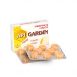 API GARDIN FORTE - PASTYLKI PROPOLISOWE Z MIODEM 