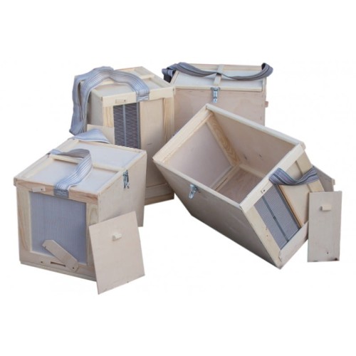 ROJNICA WIELKOPOLSKA - SKLEJKA